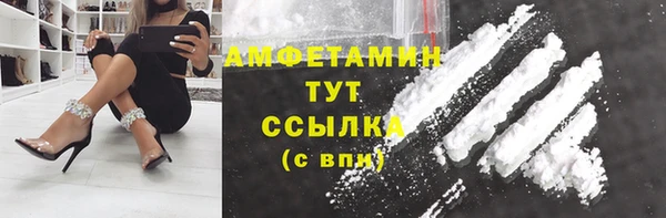 стаф Аркадак