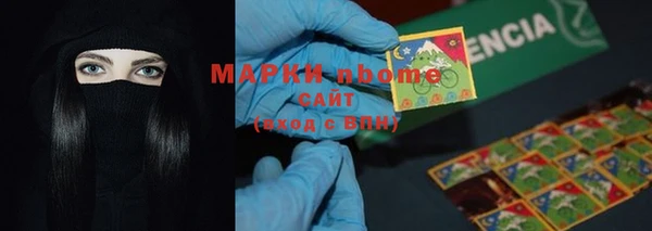 стаф Аркадак