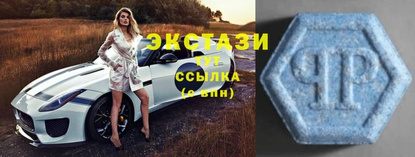 стаф Аркадак