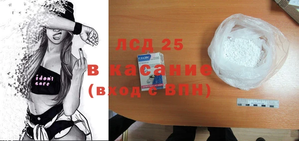 стаф Аркадак