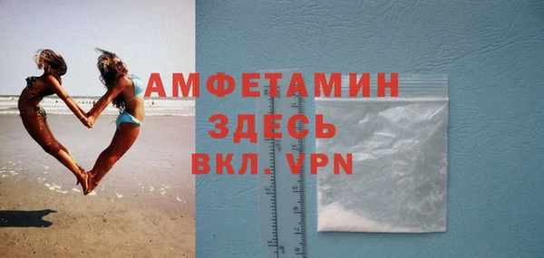 стаф Аркадак