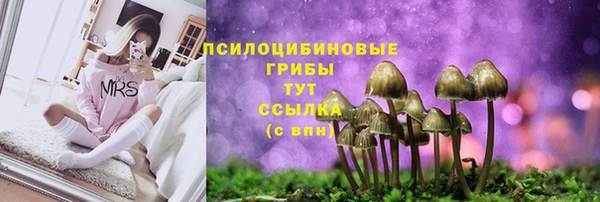 герыч Армянск