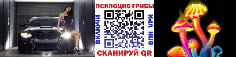 Псилоцибиновые грибы Cubensis  Купить закладки  Тихвин 